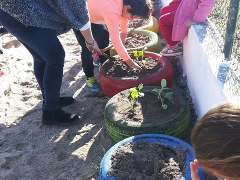 Plantaram-se as primeiras plantas que os alunos trouxeram após o apoio da autarquia que nos veio remodelar a terra e adubar, preparando tudo para o cultivo...